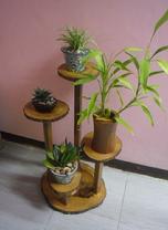 4311 Flower stand acacia live edge