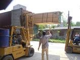 Oak, Ash US Import