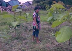 Teak po 1 roce & Yuwaree