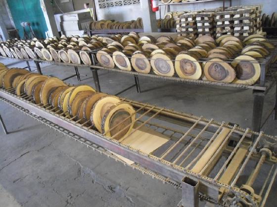 Tree boards with bark