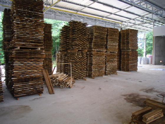 Acacia grade A